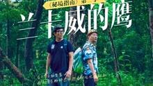 hahabet棋牌登录